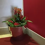 Cortina Hotel Garda (Verona)