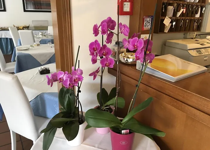 מלון Cortina גארדה