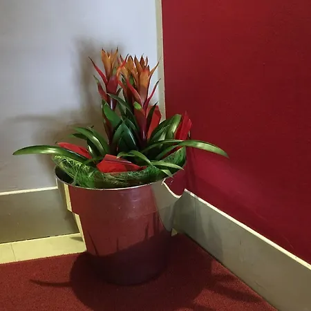 Cortina Otel Garda (Verona)