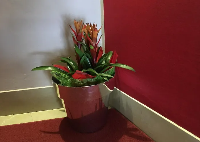 Cortina 호텔 가르다